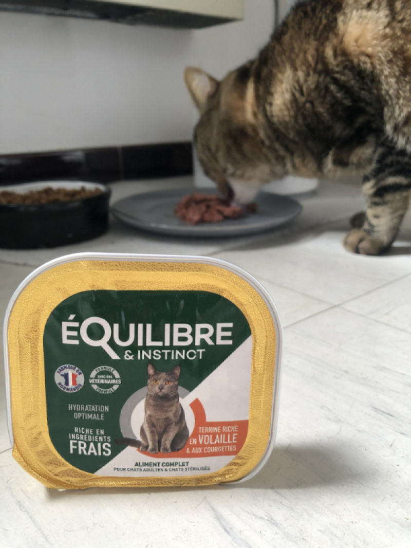 Customer photo review of Pâtées riches en volaille & aux courgettes (chat stérilisé et chat adulte)