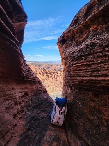 Customer photo review of Guide 50L