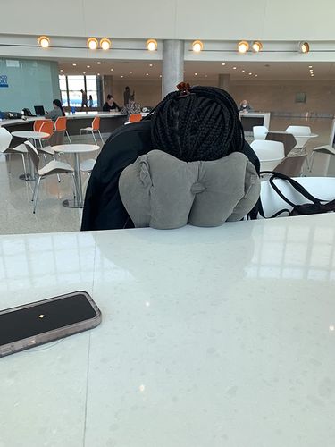 Customer photo review of CloudTravel Pillow™