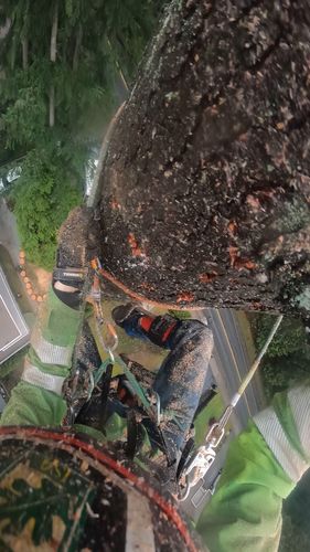 Customer photo review of Hurricane Pro (3600 TCS)