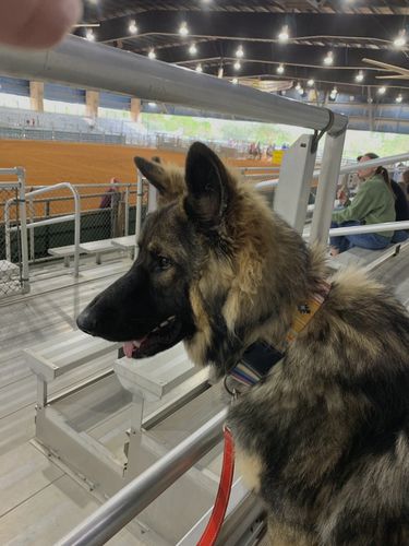 Customer photo review of Floral Silicone