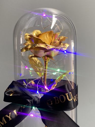 Customer photo review of Galaxy LED Rose Dome