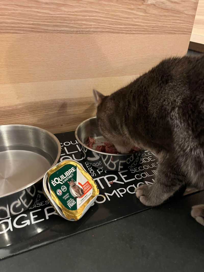 Customer photo review of Pâtées riches en volaille & aux courgettes (chat stérilisé et chat adulte)
