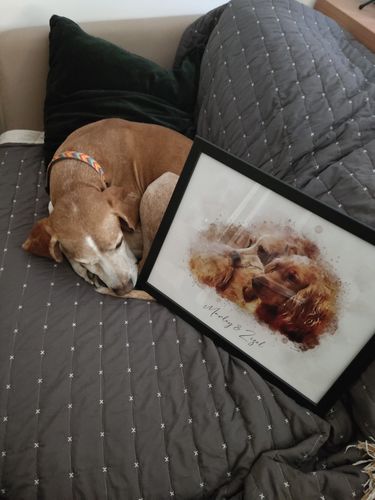 Customer photo review of Πορτραίτο Κατοικίδιου - Νερομπογιά