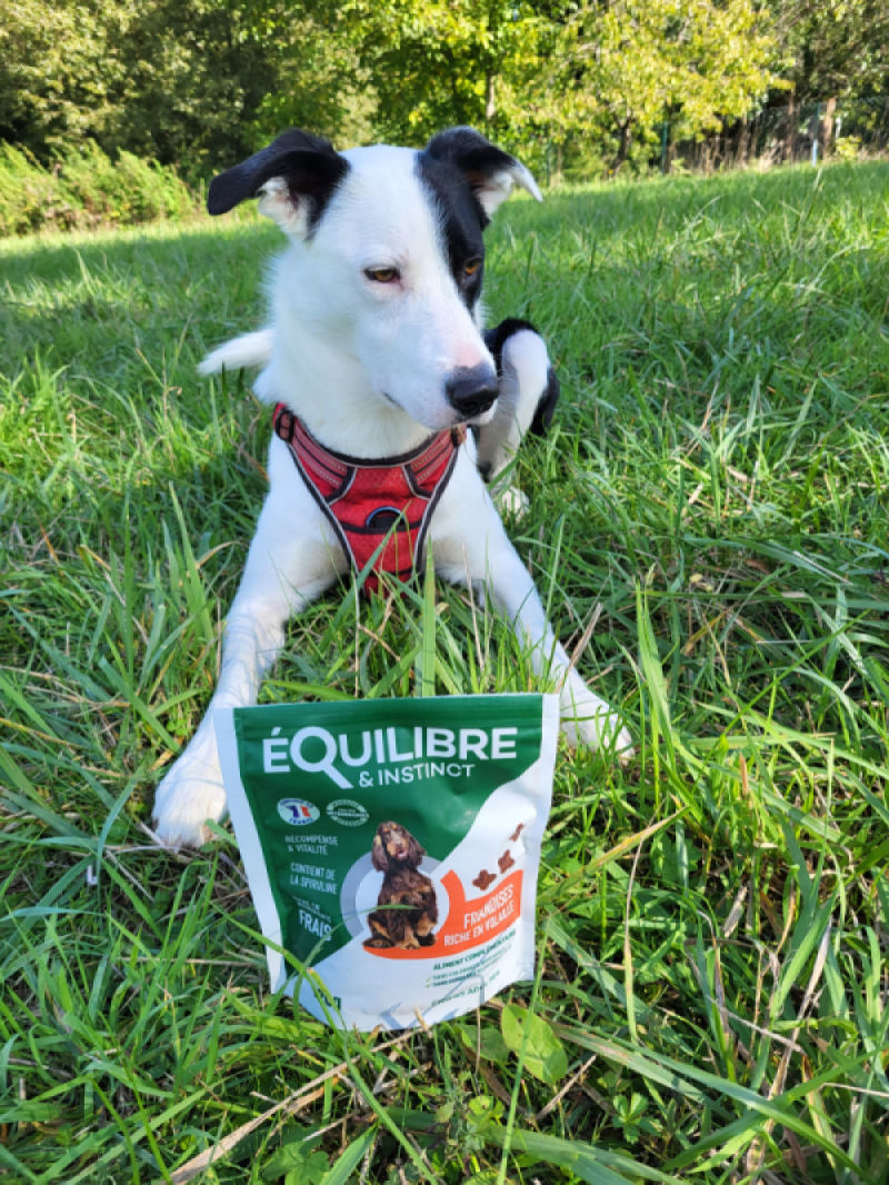 Customer photo review of Friandises riches en volaille (chien adulte)