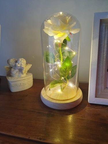 Customer photo review of The Enchanted Rose