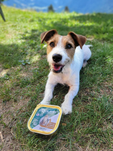 Customer photo review of Pâtées riches en canard & aux petits pois (chien adulte)
