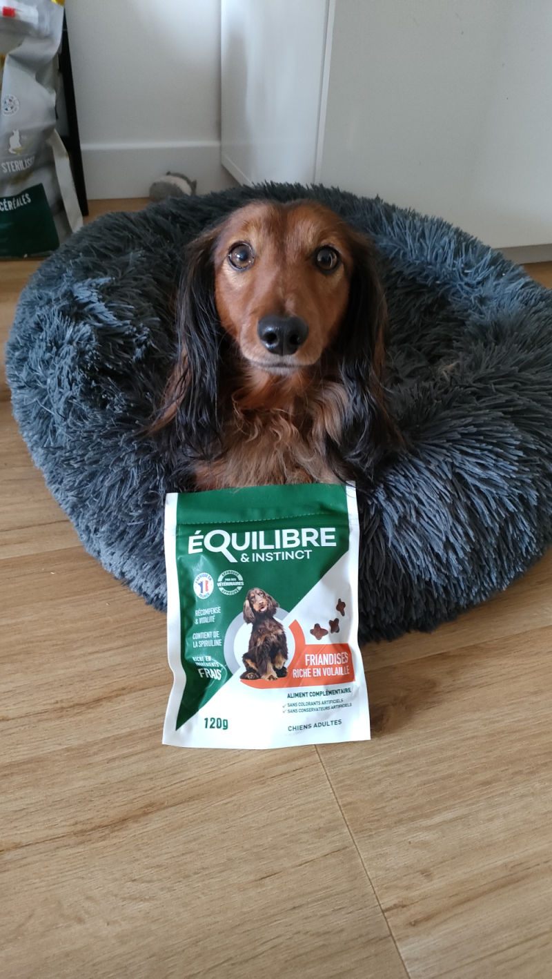 Customer photo review of Friandises riches en volaille (chien adulte)