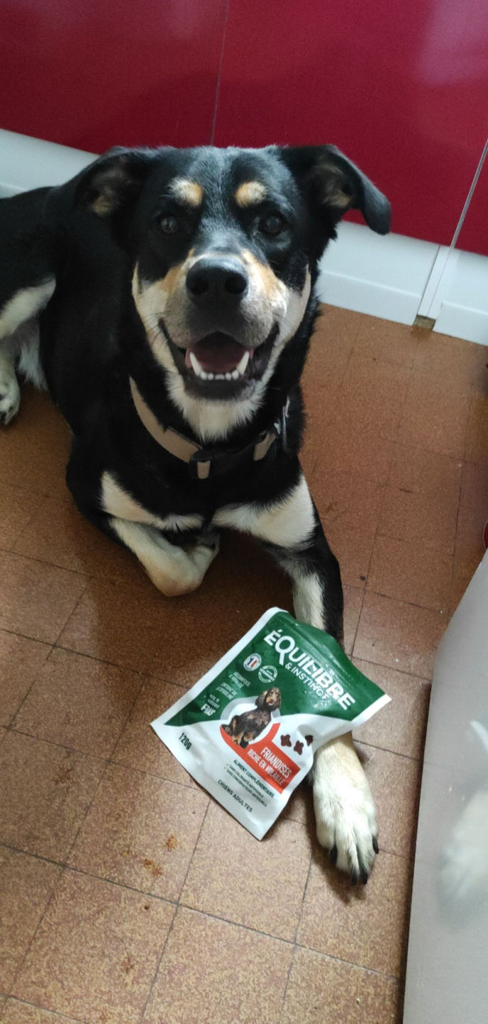 Customer photo review of Friandises riches en volaille (chien adulte)