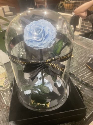 Customer photo review of Baby Blue Lasting Belle