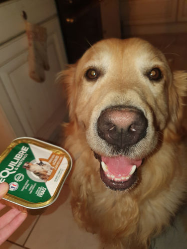 Customer photo review of Pâtées riches en canard & aux petits pois (chien adulte)