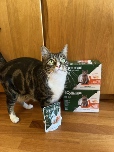 Customer photo review of Effilés au poulet, courges & agrumes (chat stérilisé et chat adulte)