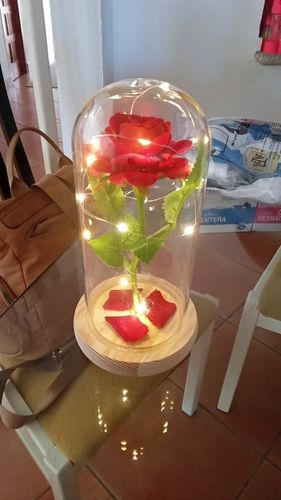 Customer photo review of The Enchanted Rose