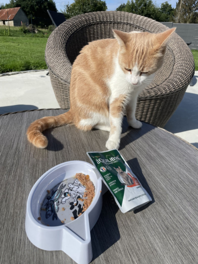 Customer photo review of Effilés au poulet, courges & agrumes (chat stérilisé et chat adulte)