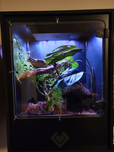 Customer photo review of XA-BIO-G 18Wx18Lx24H