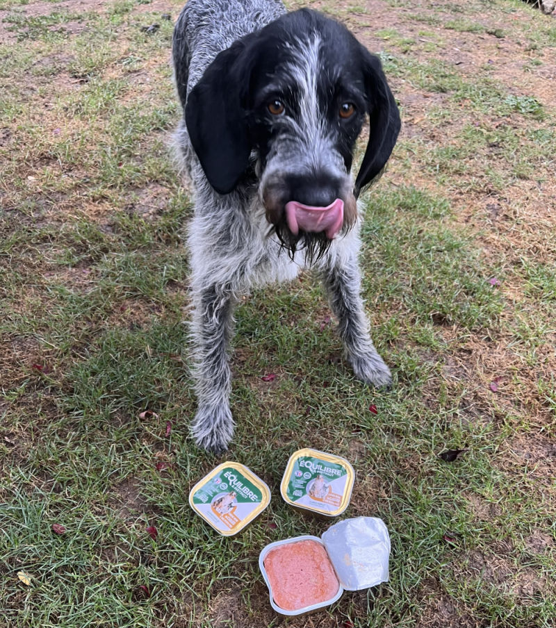 Customer photo review of Pâtées riches en canard & aux petits pois (chien adulte)