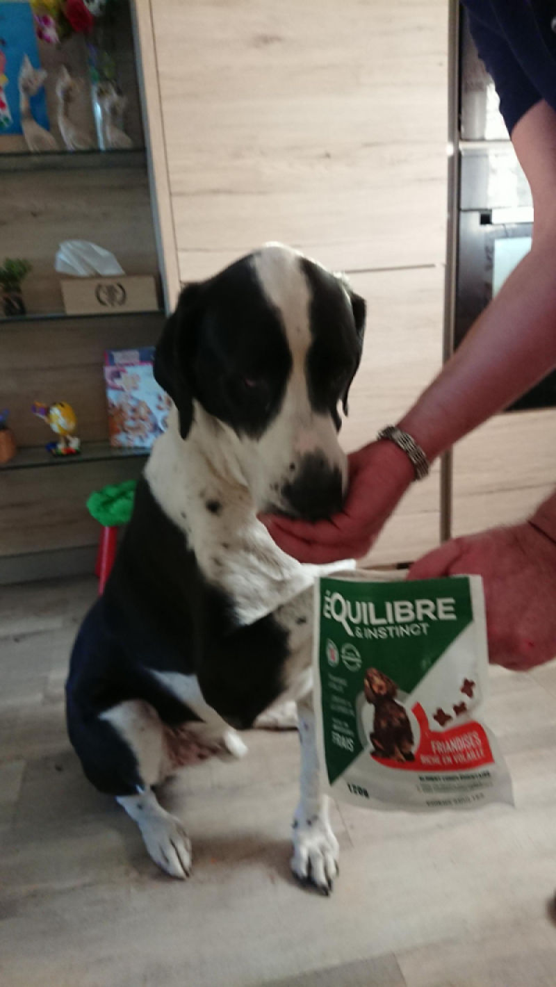 Customer photo review of Friandises riches en volaille (chien adulte)