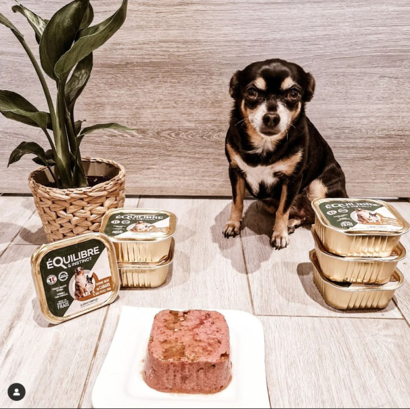Customer photo review of Pâtées riches en canard & aux petits pois (chien adulte)