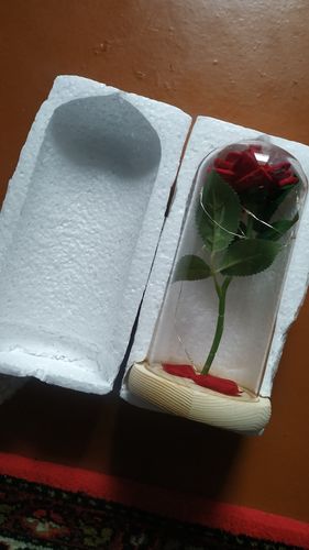 Customer photo review of The Enchanted Rose