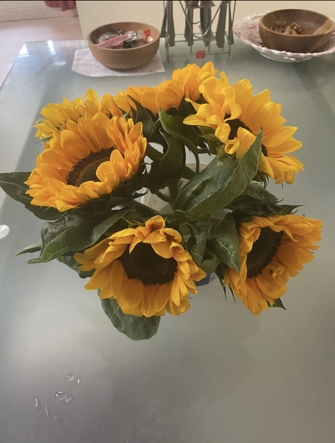 Customer photo review of Sunflowers