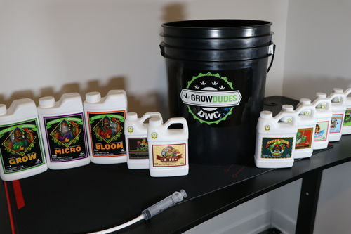 Customer photo review of Advanced Nutrients pH Perfect Grow