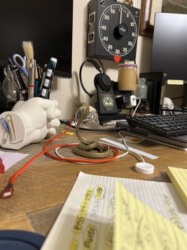 Customer photo review of Cobra Phone Stand