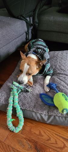 Customer photo review of Playa Poncho - Surprise Color