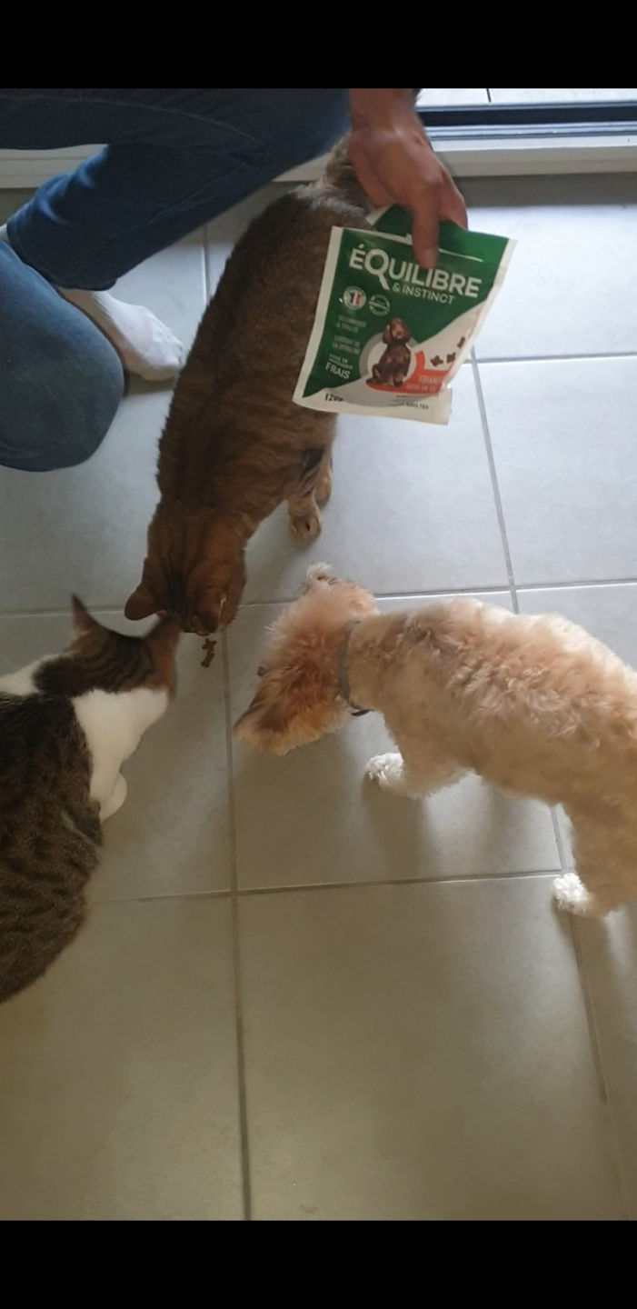 Customer photo review of Friandises riches en volaille (chien adulte)
