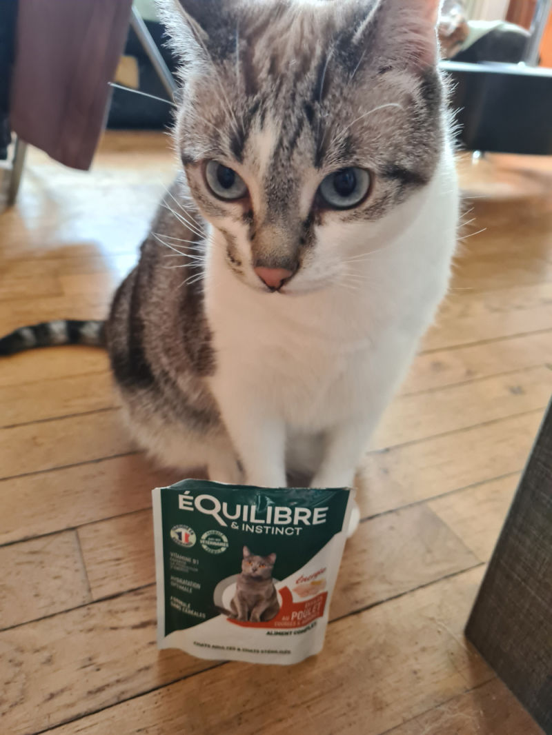 Customer photo review of Effilés au poulet, courges & agrumes (chat stérilisé et chat adulte)