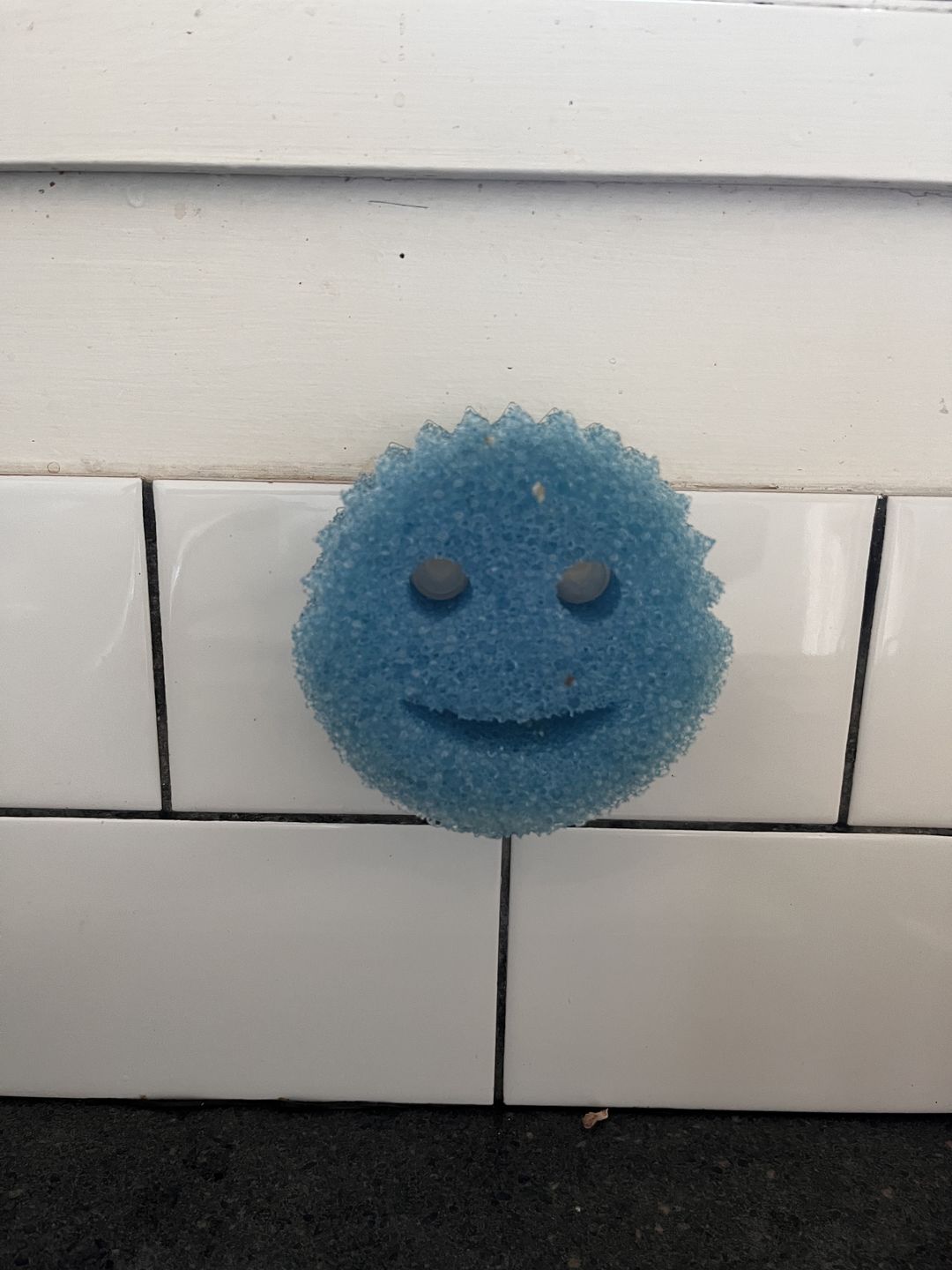Customer photo review of Scrub Daddy Family (6 Pack)