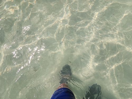 Customer photo review of Aleader Men's Xdrain Pro Knit Water Shoes