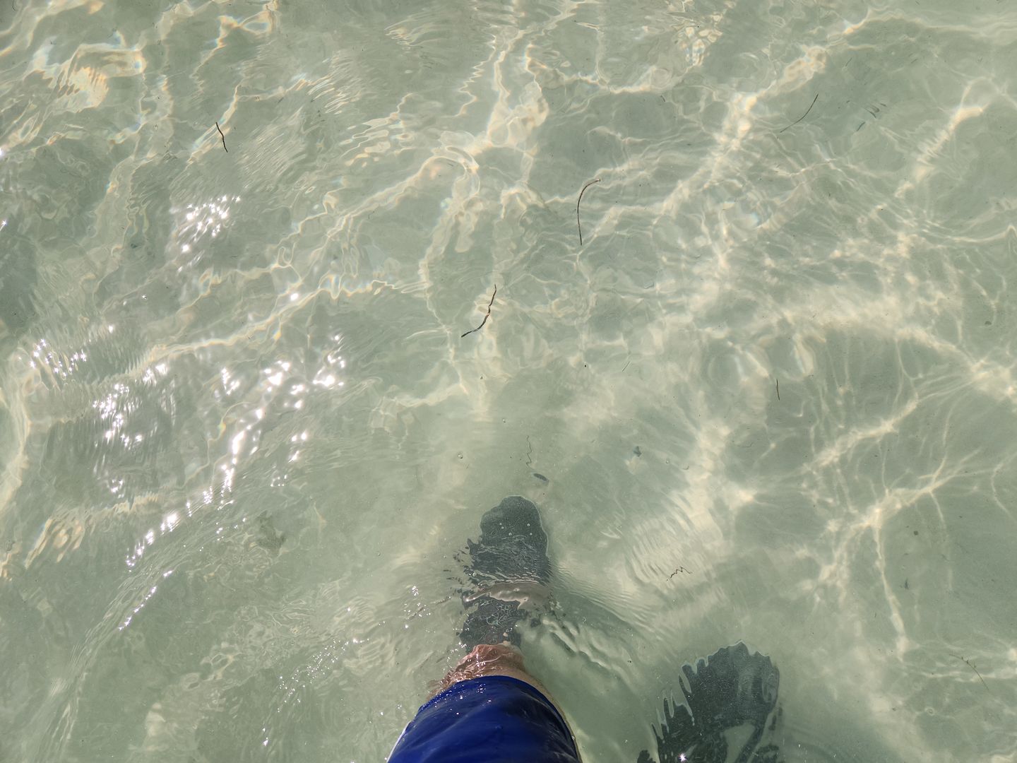 Customer photo review of Aleader Men's Xdrain Pro Knit Water Shoes