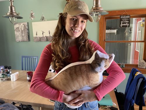 Customer photo review of Create A Custom Cat Pillow