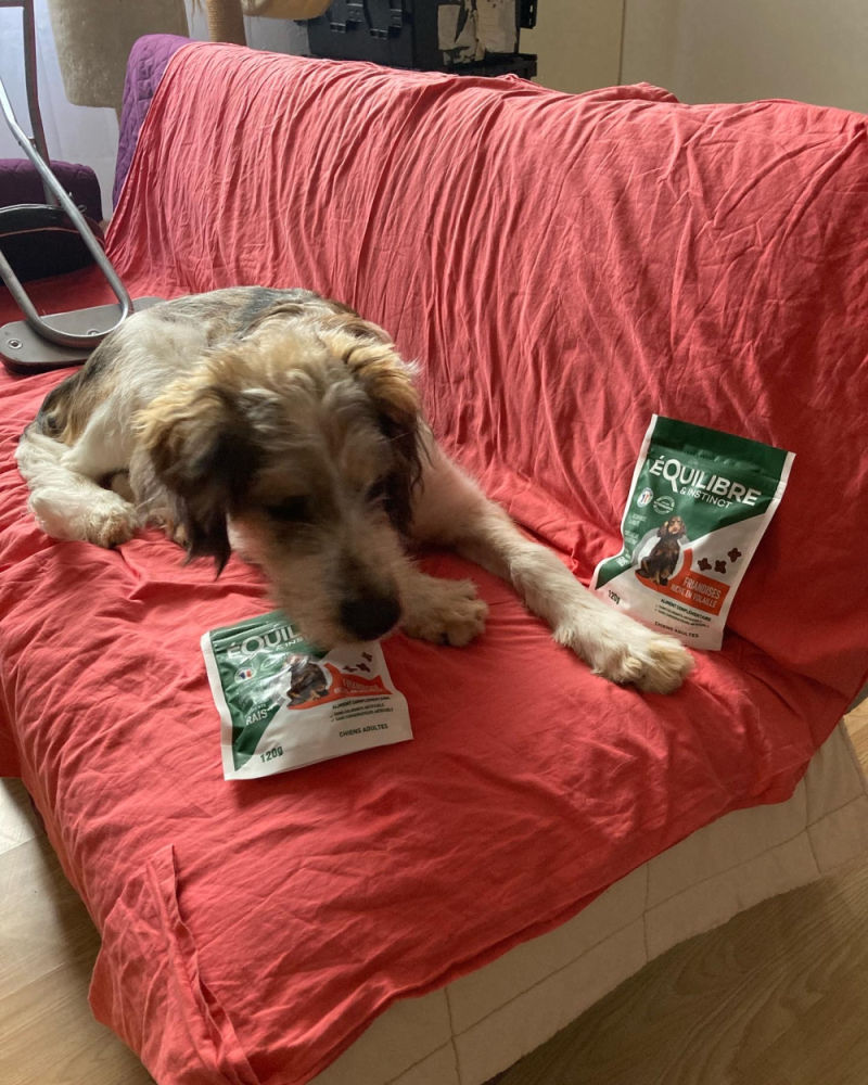 Customer photo review of Friandises riches en volaille (chien adulte)