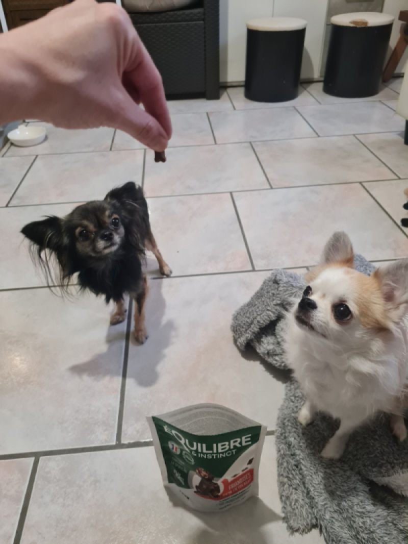 Customer photo review of Friandises riches en volaille (chien adulte)