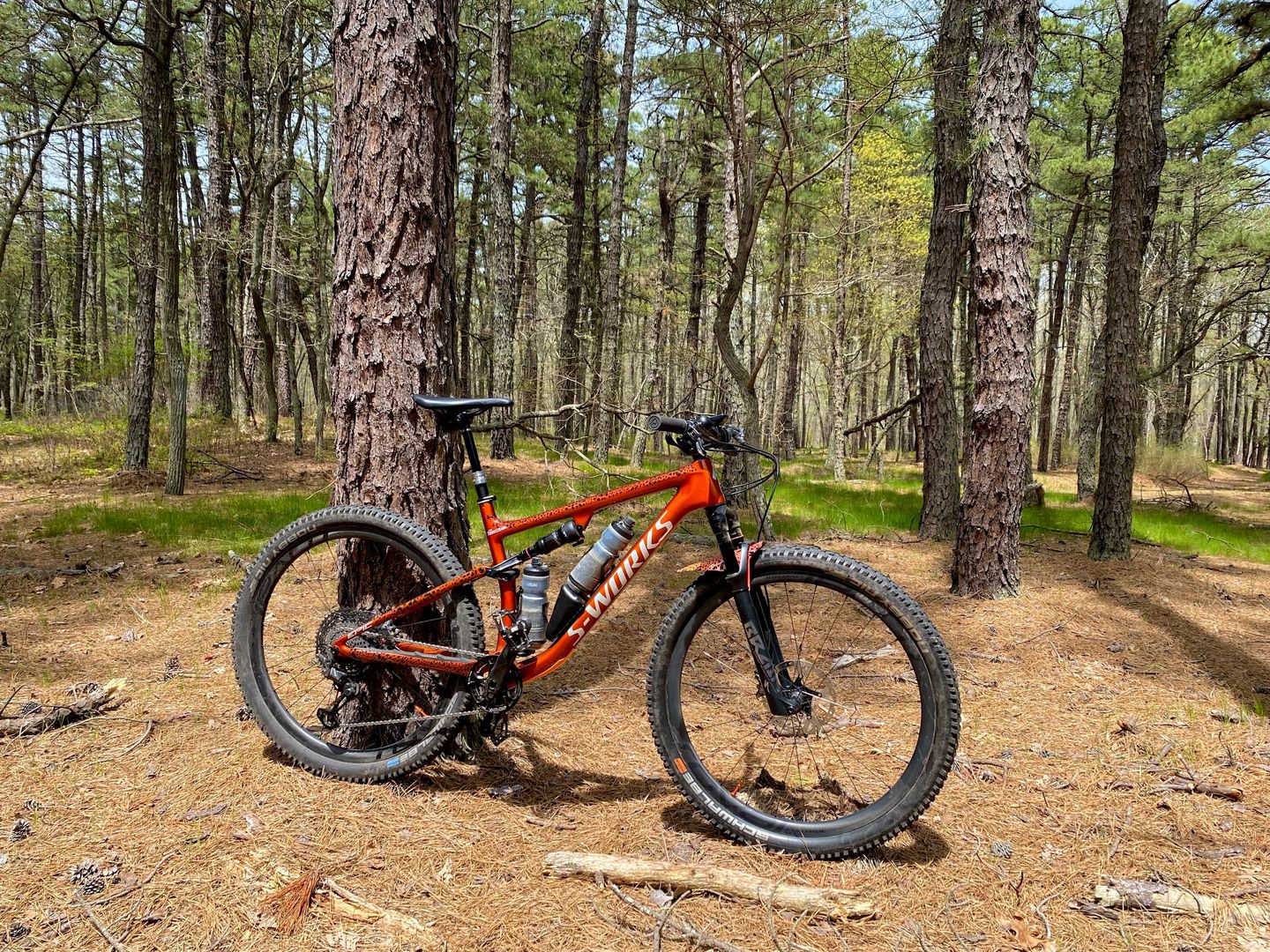 Customer photo review of Cheetah Frame Keeper