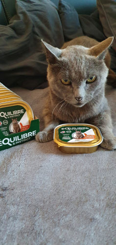 Customer photo review of Pâtées riches en volaille & aux courgettes (chat stérilisé et chat adulte)