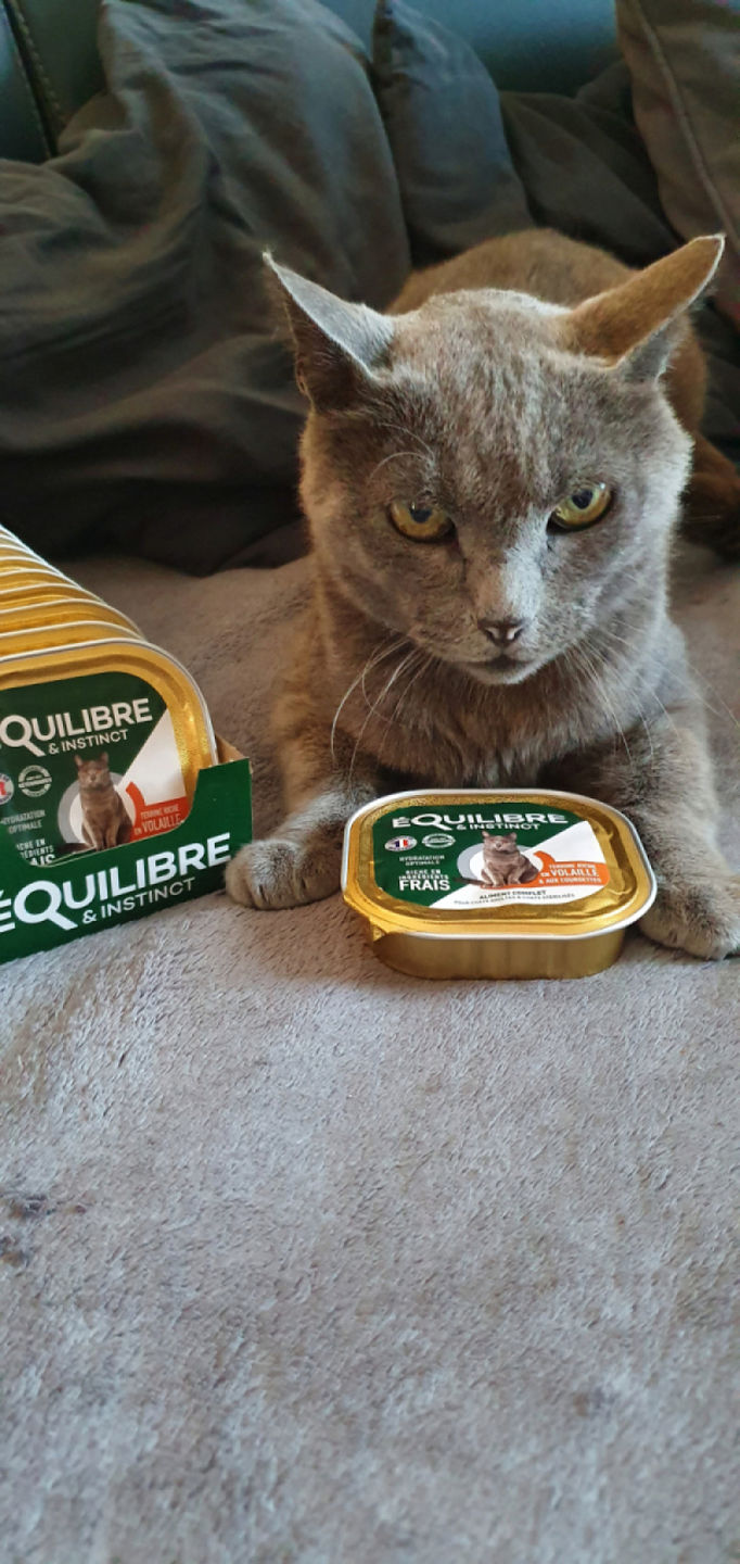 Customer photo review of Pâtées riches en volaille & aux courgettes (chat stérilisé et chat adulte)