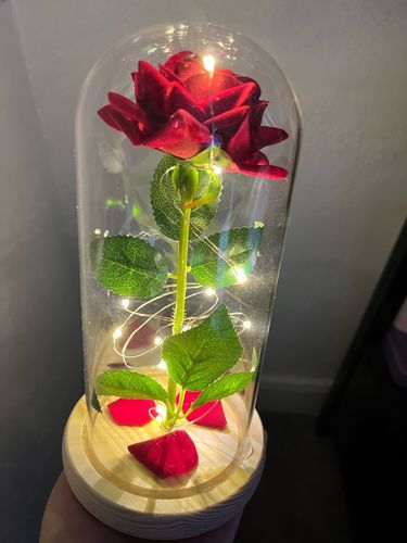 Customer photo review of The Enchanted Rose