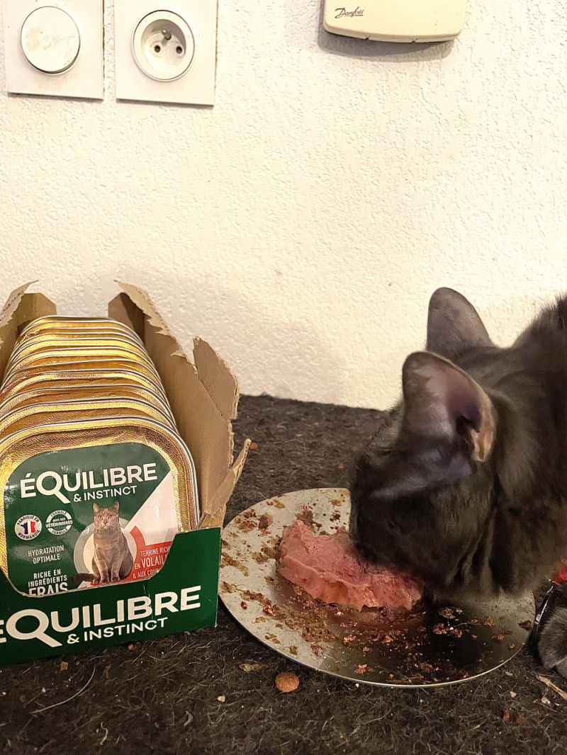 Customer photo review of Pâtées riches en volaille & aux courgettes (chat stérilisé et chat adulte)