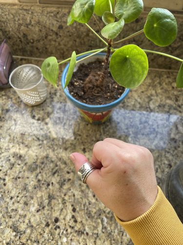 Customer photo review of Sterling Silver Spinner Dandelion Band Ring