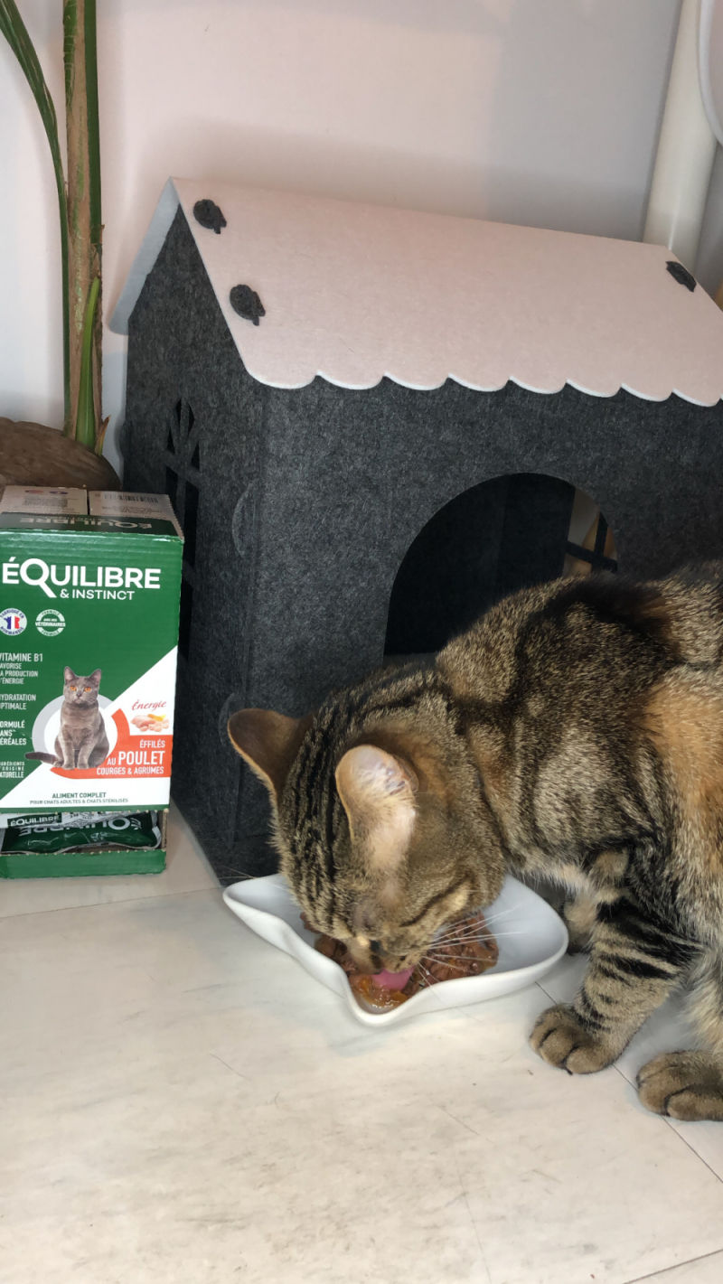 Customer photo review of Effilés au poulet, courges & agrumes (chat stérilisé et chat adulte)