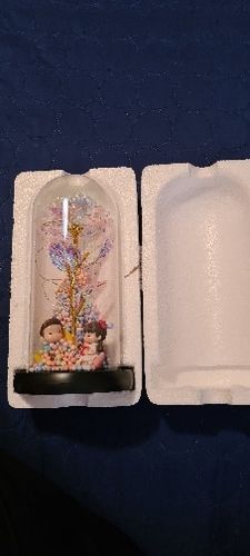 Customer photo review of The Enchanted Rose