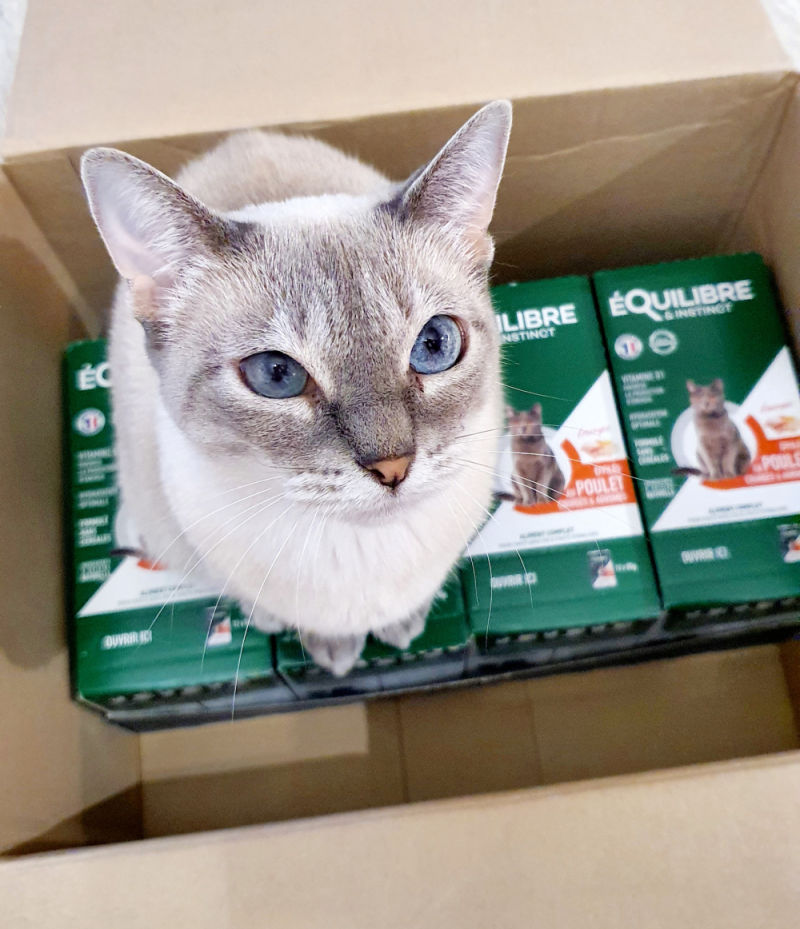 Customer photo review of Effilés au poulet, courges & agrumes (chat stérilisé et chat adulte)