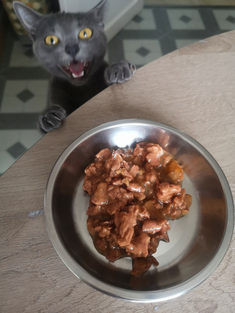 Customer photo review of Effilés au poulet, courges & agrumes (chat stérilisé et chat adulte)