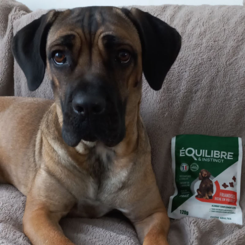 Customer photo review of Friandises riches en volaille (chien adulte)
