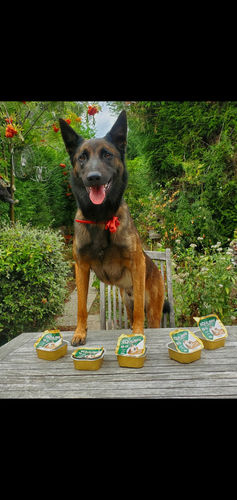 Customer photo review of Pâtées riches en canard & aux petits pois (chien adulte)