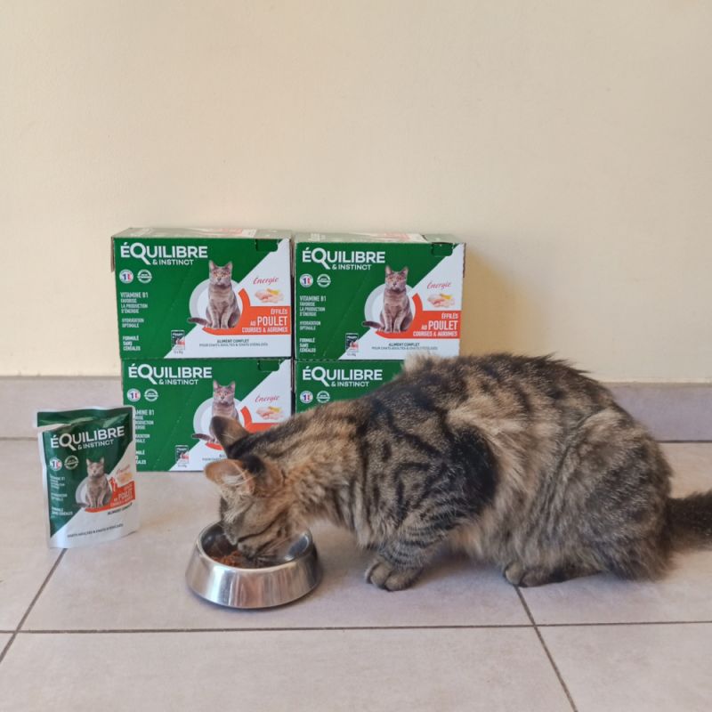 Customer photo review of Effilés au poulet, courges & agrumes (chat stérilisé et chat adulte)