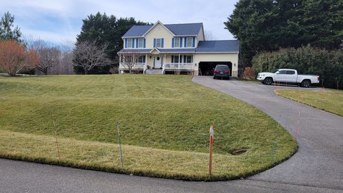 Customer photo review of Protene Performance Winter Fertilizer