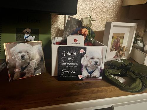 Customer photo review of Hunde Gedenktafel mit Foto & Spruch